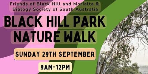 Black Hill Park Nature Walk