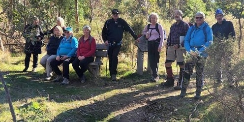 The Lofty Heights of Mount Lofty Loop - Grade 2 (Medium)