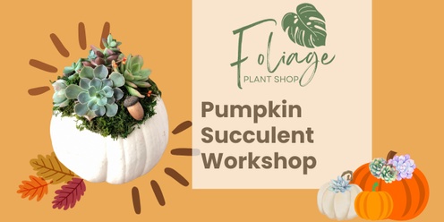 Pumpkin Succulent Arrangement Workshop