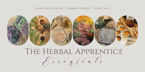 Herbal Apprentice Essentials Class