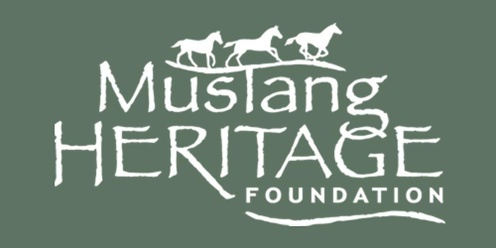 Mustang Heritage Spectacular Extreme Mustang Makeover TOP 10 Freestyle Final