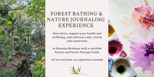 Forest Bathing and Nature Journaling experience (Brisbane)