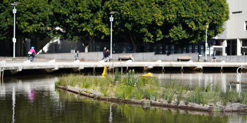 Floating Wetlands: Docklands to Enterprize Park