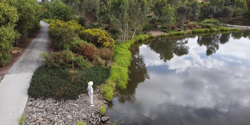 Nature Mindfulness Walk