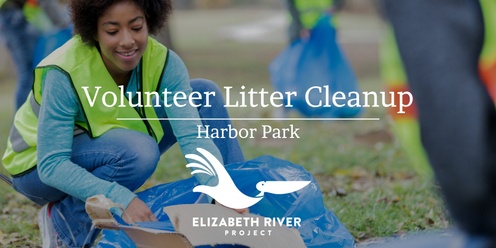 Volunteer Litter Cleanup 