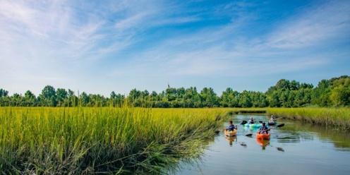 Connecting Communities: Experience Nature at Paradise Creek Nature Park