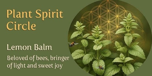 PLANT SPIRIT CIRCLE - Lemon Balm