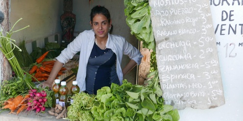 Saving Walden's World Screens at Mettabee Farm in Hillsdale, NY