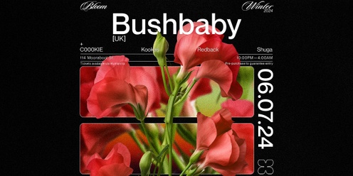Bloom ▬ Bushbaby [UK]