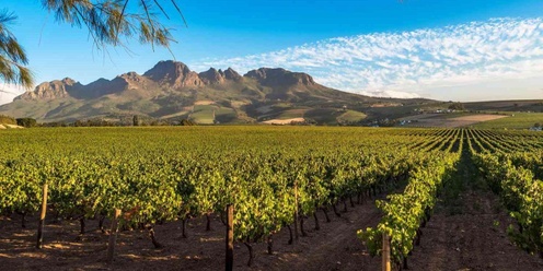 The Wines of South Africa with Joa van der Walt