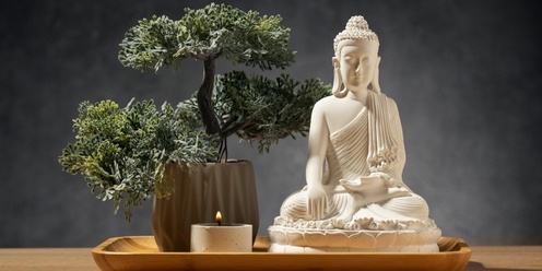 The Art of Bonsai for Inner Peace  • Self Care for Seniors • Sebastopol Library