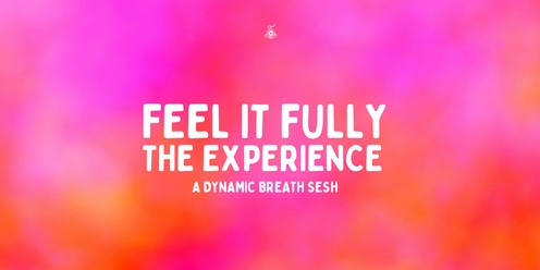 Feel It Fully - The Experience 