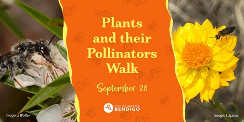 Plants and their Pollinators Walk