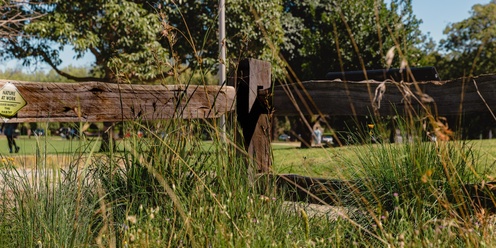 Open Garden: Tour of Stonnington's Lost Lands Found meadow garden