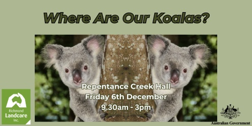 Where Are Our Koalas? Repentance Creek 