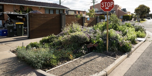 Open Garden: Tour of Peter's small unit garden and nature strip