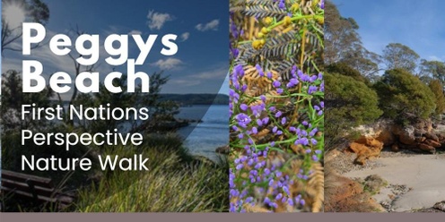 Peggys Beach - First Nations Perspective Nature Walk