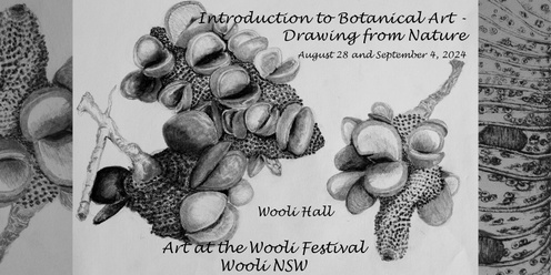 Introduction to Botanical Art - Drawing from Nature