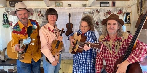 Watershed Stringband at Langtree Hall