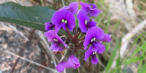 Wooragee Landcare AGM