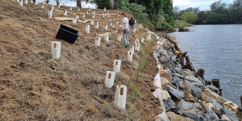 Fish habitat/bank stabilisation and lunch/AGM