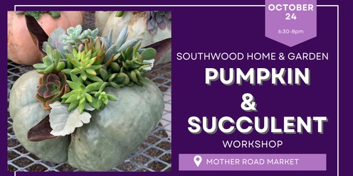 Pumpkin & Succulent Workshop with Southwood Home & Garden