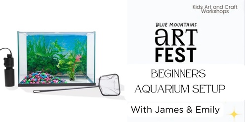 Beginners Aquarium Start Up