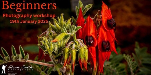 Beginners Photography Workshop