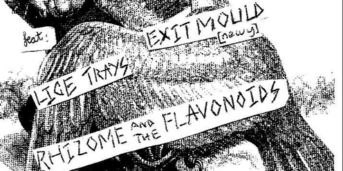 Exit Mould (Newcastle) @ Nighthawks w/ Lice Trays and Rhizome & The Flavonoids