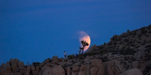 Desert Ecology: Moonlight Hike