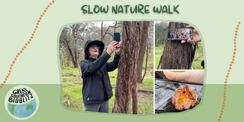 Slow nature walk - Jack Perry reserve