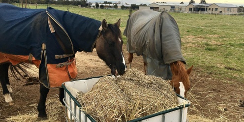 Sustainable Horse Keeping Practices