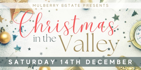 Christmas in the Valley at Mulberry Estate