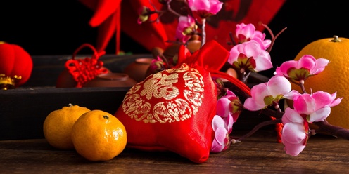 Lunar New Year Crafts: Celebrating the Year of the Snake - Lincoln Event Centre