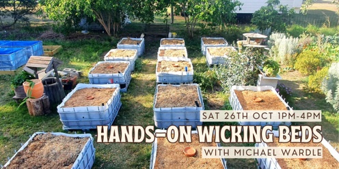Hands on Wicking Beds with Michael Wardle