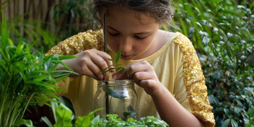 Rainforest in a Jar at Mount Annan