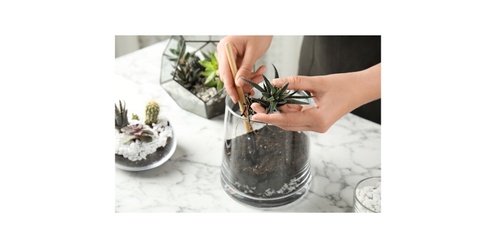 Tiny Worlds, Big Imaginations: Kids Terrarium DIY! 