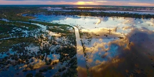 Katarapko Floodplain tour