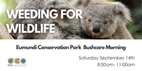 Weeding for Wildlife - Eumundi Conservation Park Bushcare Morning