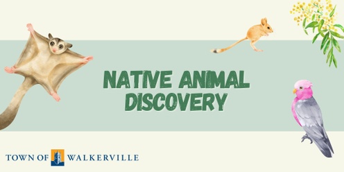 Native animal discovery