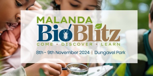 Malanda BioBlitz