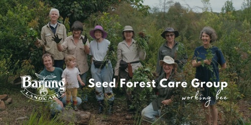 Barung Seed Forest Care Group - Working Bee