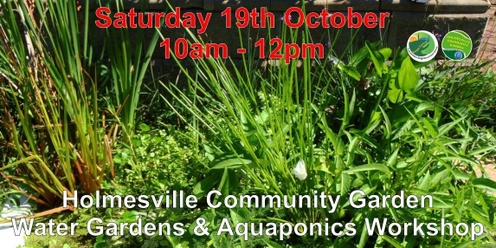 Aquaponics workshop