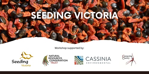 Seed Collection Workshop - Castlemaine