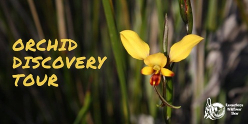  Orchid Discovery Tour - Guided bus tour with Brian Trainer