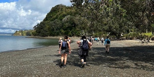 Takatu Coast Rock Hopper