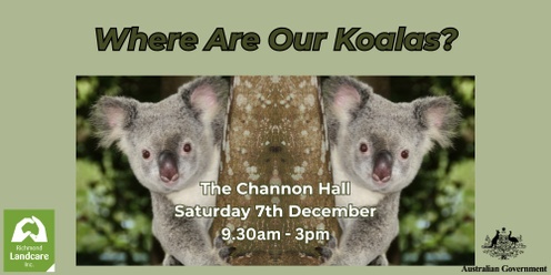 Where Are Our Koalas?  The Channon