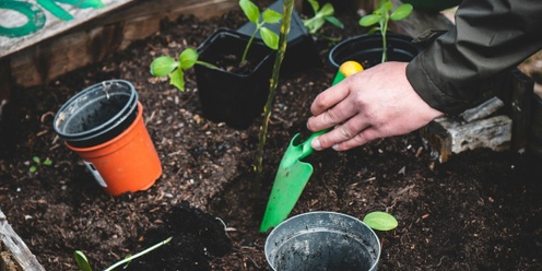 Healthy Edible Garden Series: Maintenance - Planting