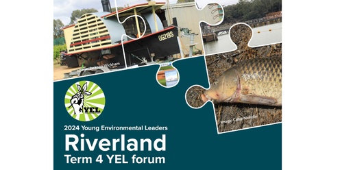 RIVERLAND term 4 YEL Forum - River Murray Expedition - PARINGA