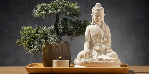 The Art of Bonsai for Inner Peace  • Self Care for Seniors • Ballarat Library